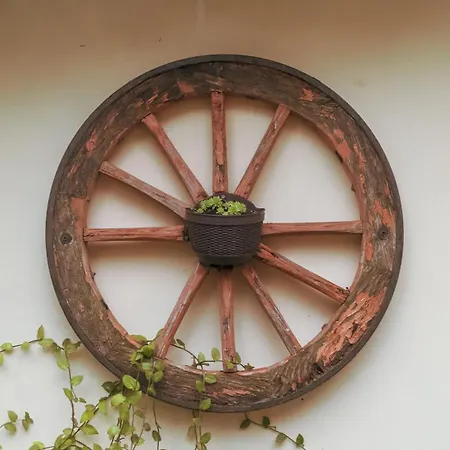 La Serra Sognante, casa vacanze con giardino privato tra Firenze e Fiesole-3